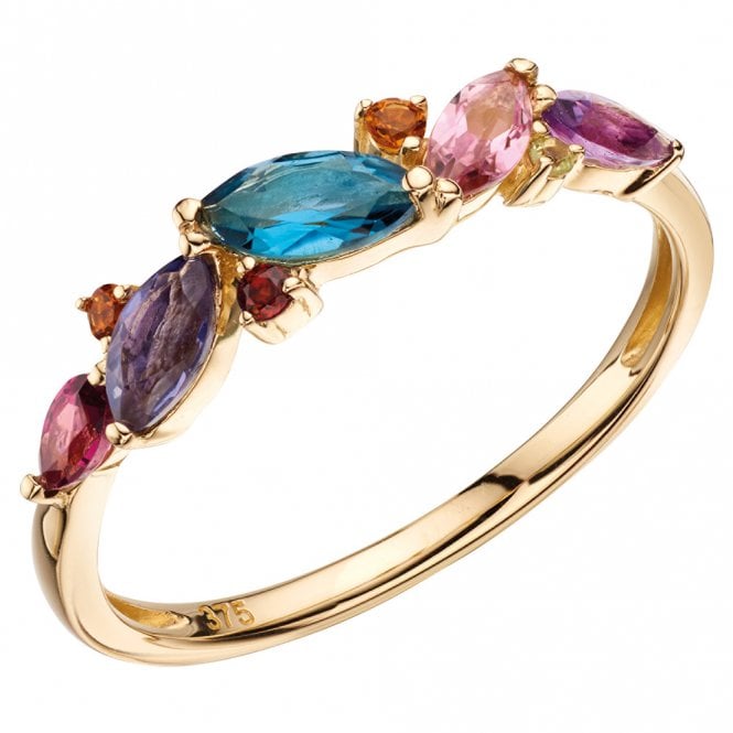 9ct yellow gold multi gem ring