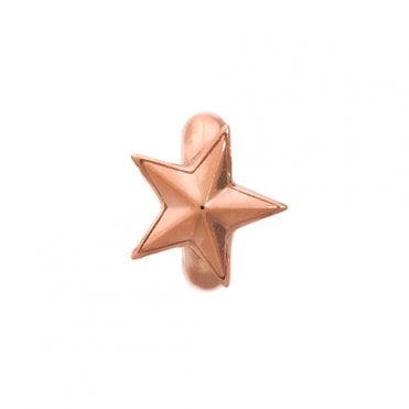Rising star charm by Endless