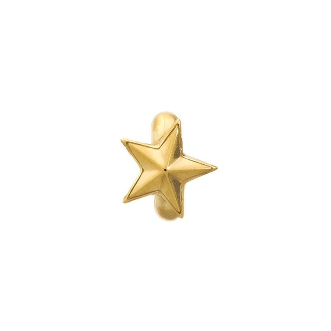 Rising star gold charm by Endless