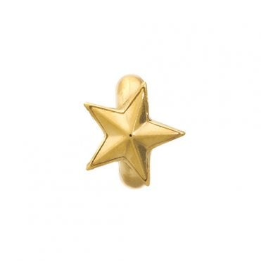 Rising star gold charm by Endless