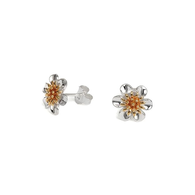 Silver and gold plated daisy earrings