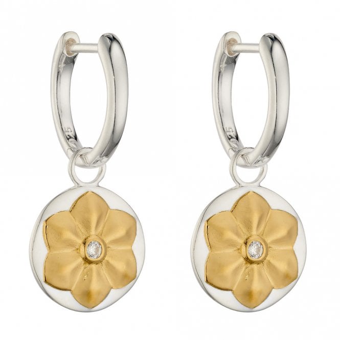 Silver and Gold Plated Hoop Earrings