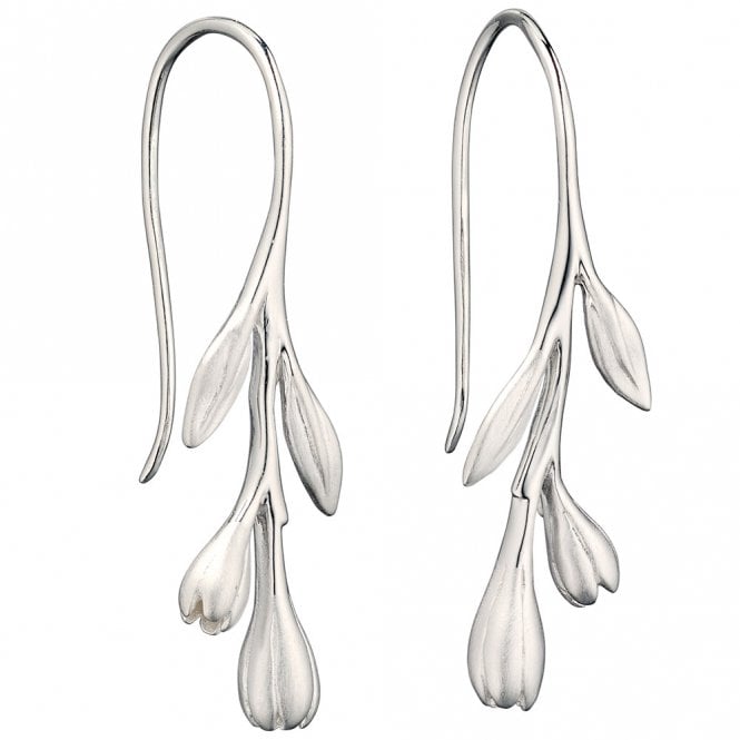 Silver drop earrings