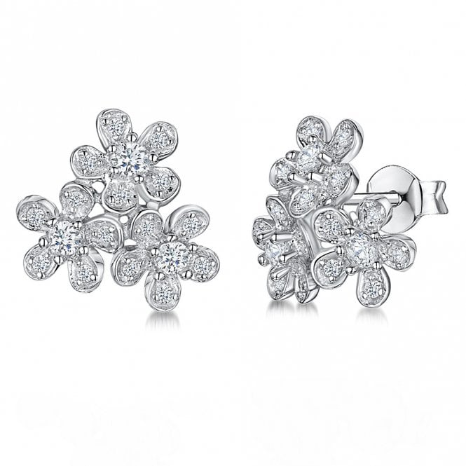 Silver earrings by Jenny Brown