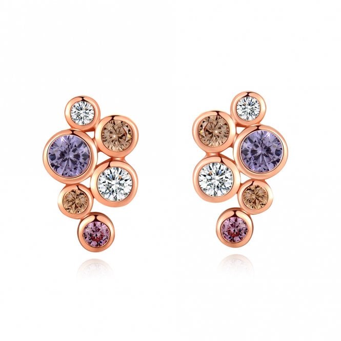 Silver Rose Gold Plated Multi Colour Earrings by Fei Liu